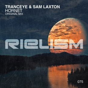 Download track Hornet (Original Mix) TrancEye, Sam Laxton