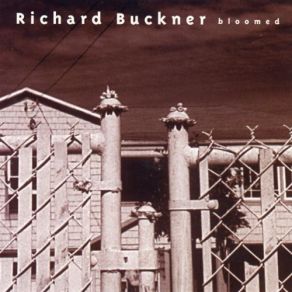 Download track The Last Ride Richard Buckner