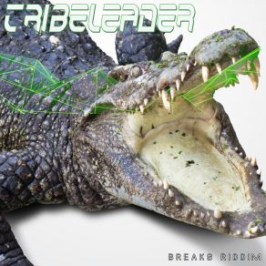 Download track Breaks Riddim (Lurssen Master 2) Tribeleader