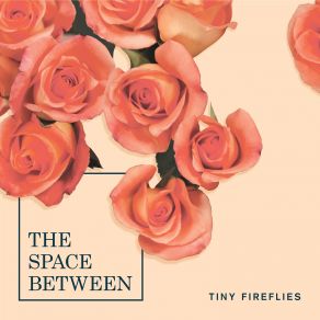 Download track Brightest Star Tiny Fireflies