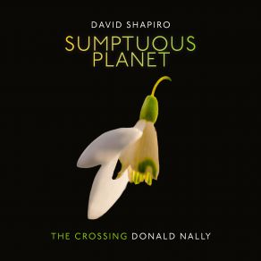 Download track Sumptuous Planet (A Secular Mass): V. The Adoration. Staggering, Elegant, Beautiful Thing Crossing, Donald Nally