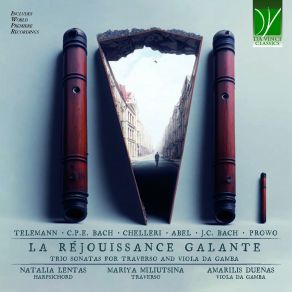 Download track Trio Sonata In G Major: III. Allegro (For Flute, Viola Da Gamba And Continuo) Amarilis Dueñas, Natalia Lentas, Mariya MiliutsinaContinuo