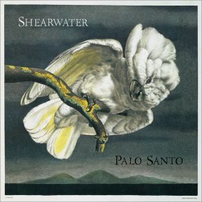 Download track Special Rider Blues Shearwater