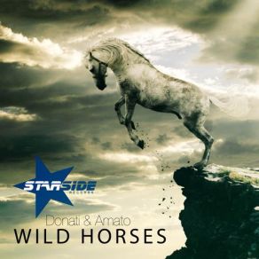 Download track Wild Horses (Original Mix) Donati & AmatoDonati, Amato