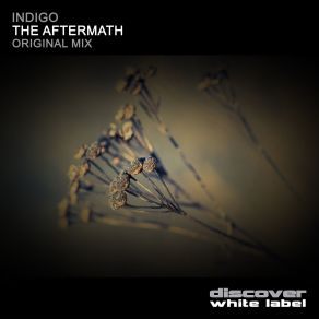 Download track The Aftermath (Original Mix) The Indigo