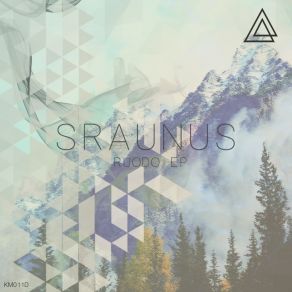 Download track Ruoduo (Original Mix) Sraunus