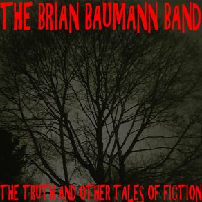 Download track Beautiful Day The Brian Baumann Band