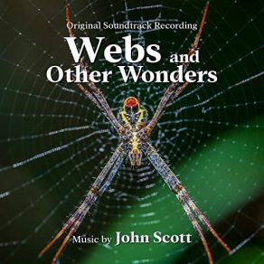 Download track Crab Spider John Scott