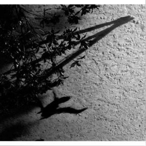 Download track 03 Horizon Variations Max Richter