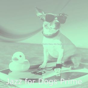 Download track Quiet Walking Dogs Jazz For Dogs Prime