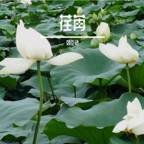 Download track 乌鸦情话 刘臣铭