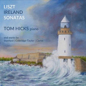 Download track No. 24 In B Minor, Andante Appassionato Tom Hicks