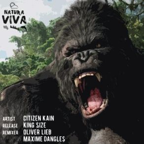 Download track King Size (Oliver Lieb Remix) Citizen Kane