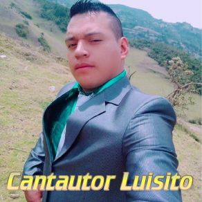 Download track Te Hice Dano Cantautor Luisito