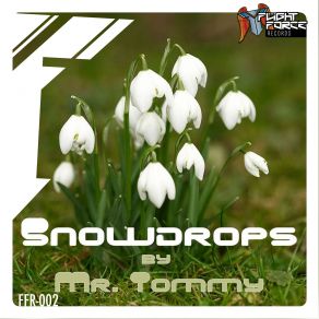 Download track Snowdrop (Original Mix) Mr. Tommy