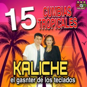 Download track Dime Como Te Olvido Kaliche El Ganster De Los Teclados