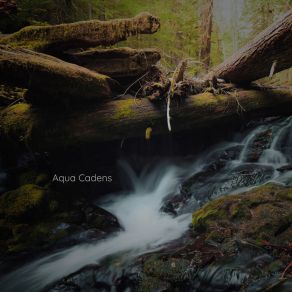 Download track Flowing Water Aqua Cadens