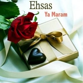 Download track Habibi Wyn Alaqeek Ehsas