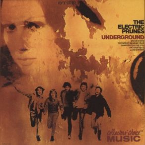 Download track Long Day's Flight The Electric Prunes