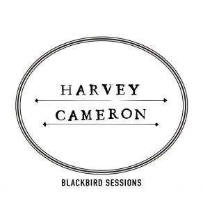 Download track Philadelphia Queen Harvey Cameron