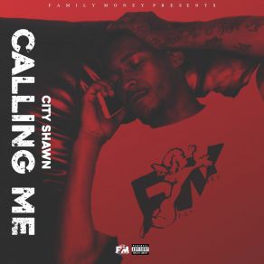 Download track Calling Me City Shawn