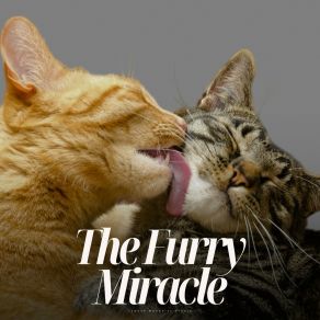 Download track Tidal Tomfoolery Calming Cat Music