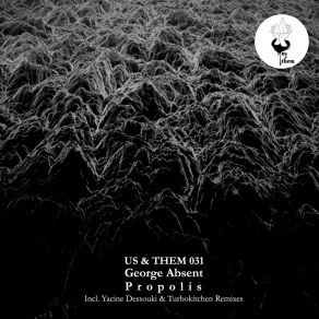 Download track Propolis (Yacine Dessouki's Reinterpretation Remix) George Absent