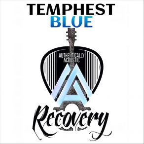 Download track It’s A Vybe Temphest Blue