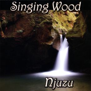 Download track Pfumvu Paruzevha Singing Wood