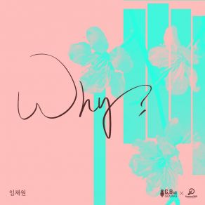 Download track Why? (Inst.) Lim Chae Won