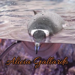 Download track Relaxed Manner Alicia Gallardo