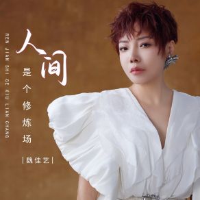 Download track 人间是个修炼场 魏佳艺