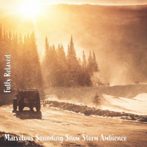 Download track Marvelous Sounding Snow Storm Ambience, Pt. 20 Steve Brassel