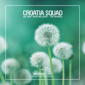 Download track We Don't Need No Sleep (Frey Remix) Croatia Squad