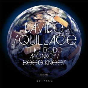 Download track The BoBo Monkey Davide Squillace