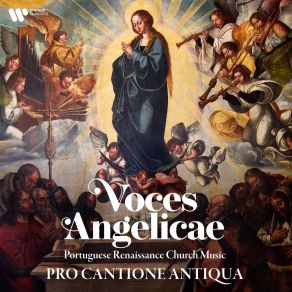 Download track Lamentationes Jeremiae: Feria VI In Parasceve Pro Cantione Antiqua