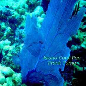 Download track A Caribbean Great Frank Tuma