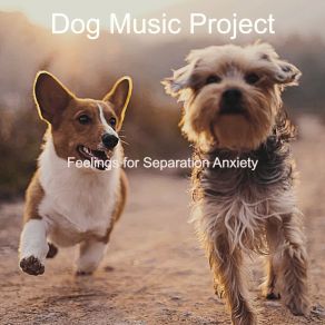 Download track Wicked Resting Dogs Dog Music Project