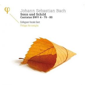 Download track 21 Gott Der Herr Ist Sonn Und Schild, BWV 79 V. Gott, Ach Gott Johann Sebastian Bach