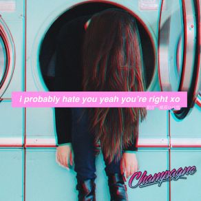 Download track I'probably Hate You Champagne