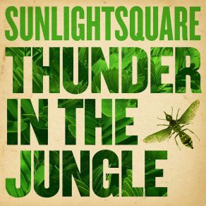 Download track Thunder In The Jungle (Part 2) Sunlightsquare