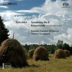 Download track 04. Symphony No. 6 In C Major - IV. Allegro Moderato Franz Schubert