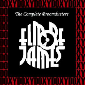 Download track Good Bye Baby Elmore James