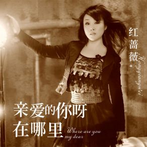 Download track 亲爱的你呀在哪里 (伴奏) 红蔷薇