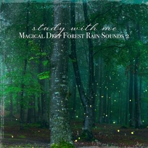 Download track Magical Deep Forest Rain Sounds, Pt. 5 Sebastian Riegl