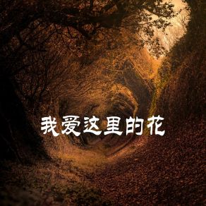 Download track 我们是免费的 黄诗柳