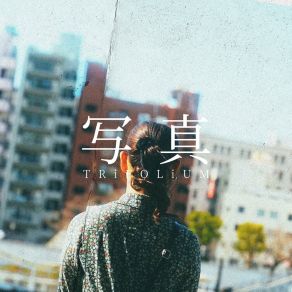 Download track 海岸線 Trifolium