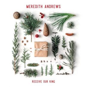 Download track Come Thou Long Expected Jesus Meredith Andrews