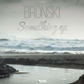 Download track Something (Original Mix) Bronski