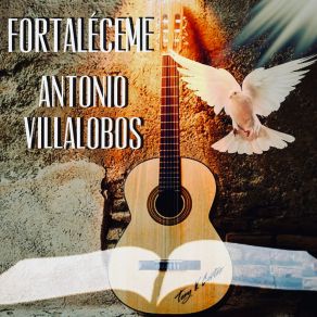 Download track Una Rosa Para Mi Esposa Antonio Villalobos